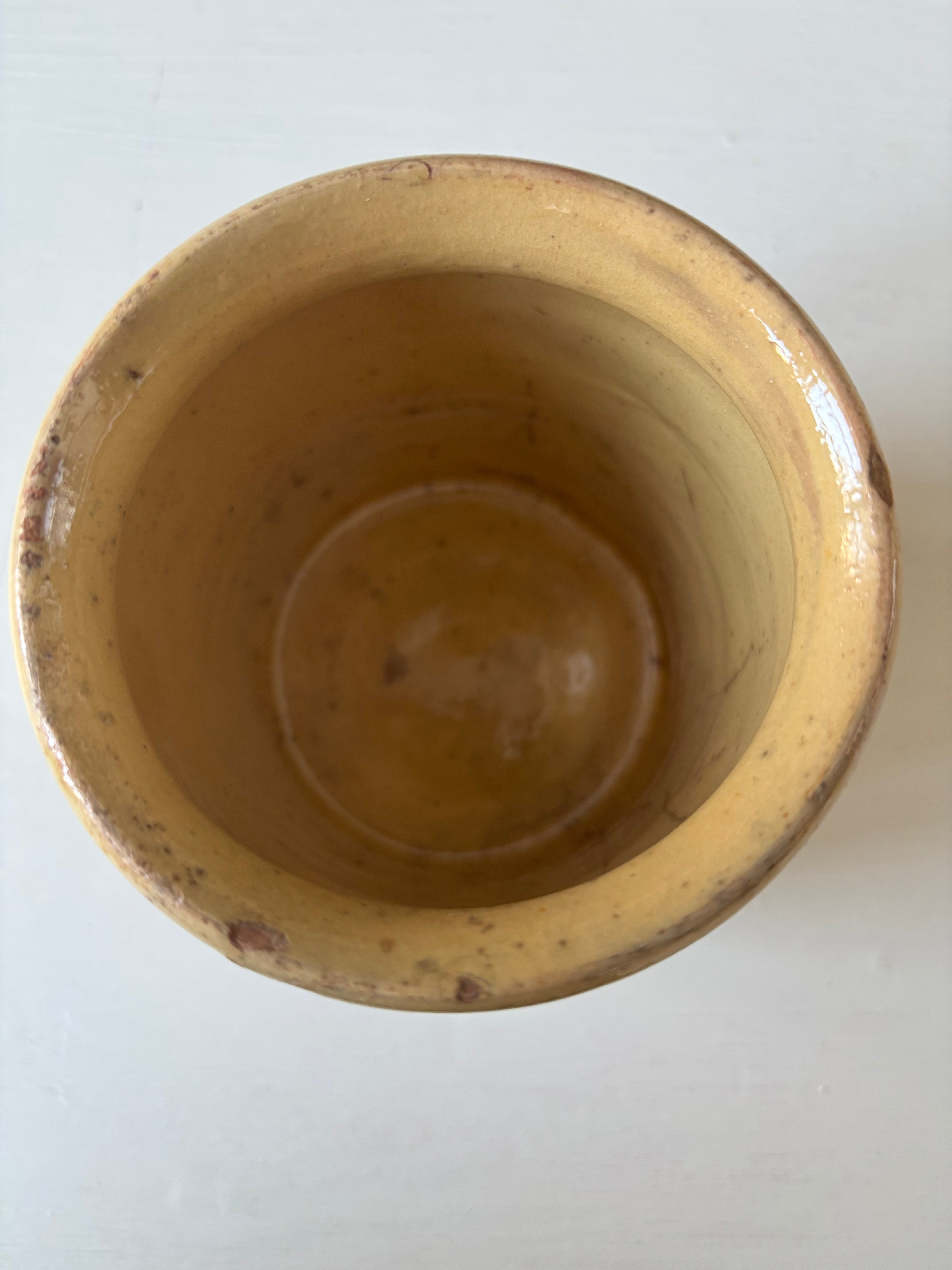 Fransk Lyon krukke, h10 cm.