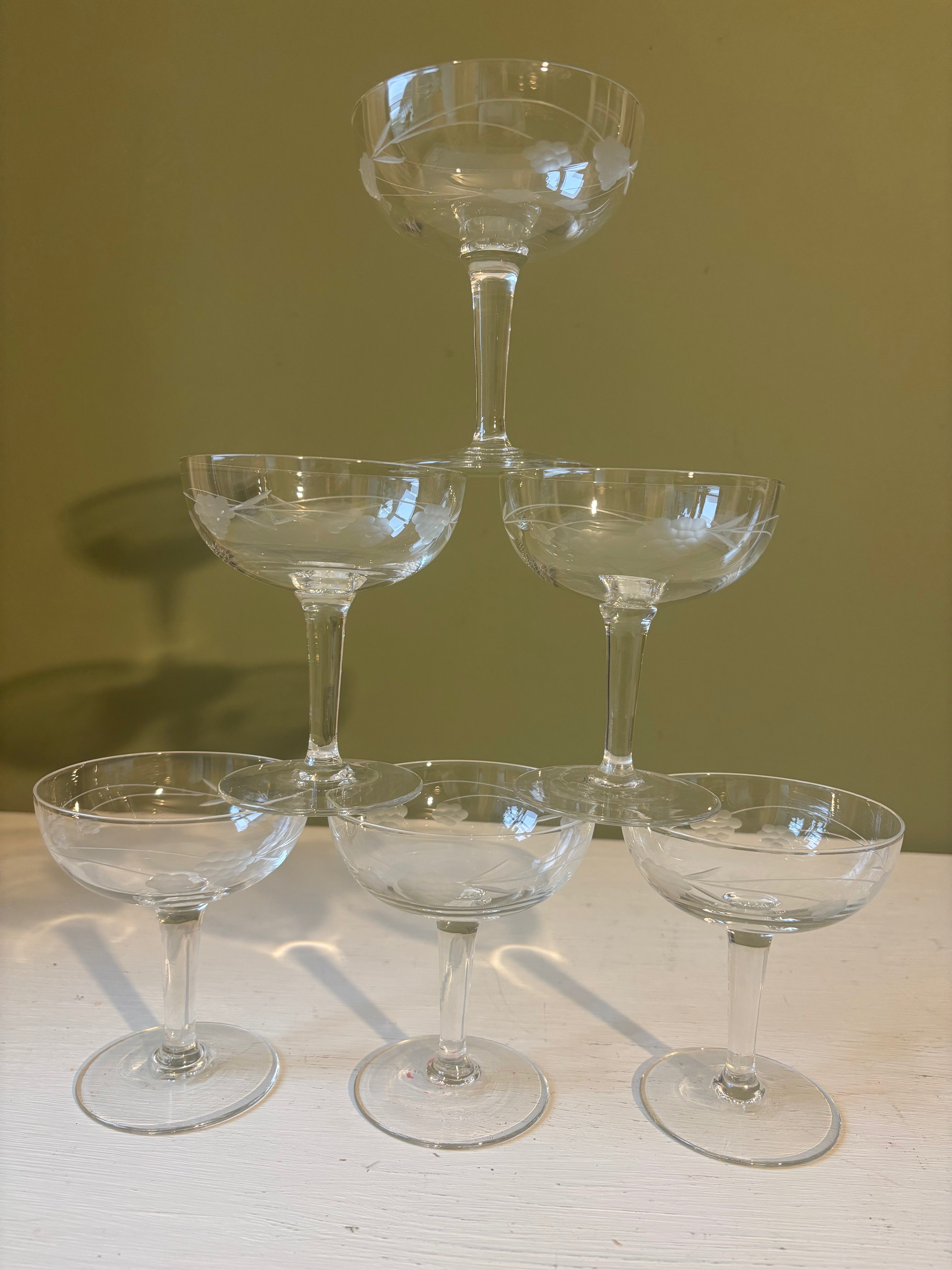 Champagneskåle, 6 stk.